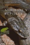 ANFIBIOS Y REPTILES