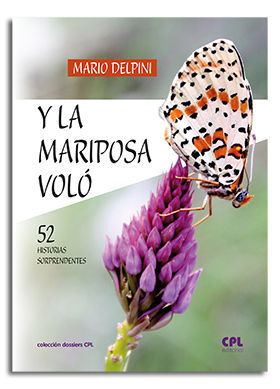 Y LA MARIPOSA VOLÓ