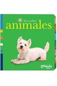 DESCUBRE ANIMALES